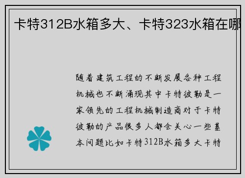 卡特312B水箱多大、卡特323水箱在哪